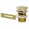 Brushed Brass Retro Fit Overflow And Waste For Parma, Verna, Palermo, Genoa And Perugia Baths -Wholesaledomestic Shop brushed brass retro fit overflow and waste for parma verna palermo genoa and perugia baths right 14505.1696498156