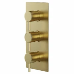 Colore Round Brushed Brass Concealed Triple Theromstatic Shower Valve - 2 Outlet