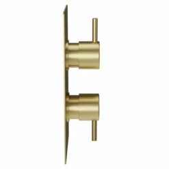 Colore Round Brushed Brass Concealed Twin Thermostatic Shower Valve - 1 Outlet 11 Colore Round Brushed Brass Concealed Twin Thermostatic Shower Valve - 1 Outlet -Wholesaledomestic Shop colore brushed brass round concealed twin thermostatic shower valve side 97740.1652444923