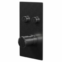 Colore Round Gunmetal Grey Concealed Push Button Shower Valve - 2 Outlet