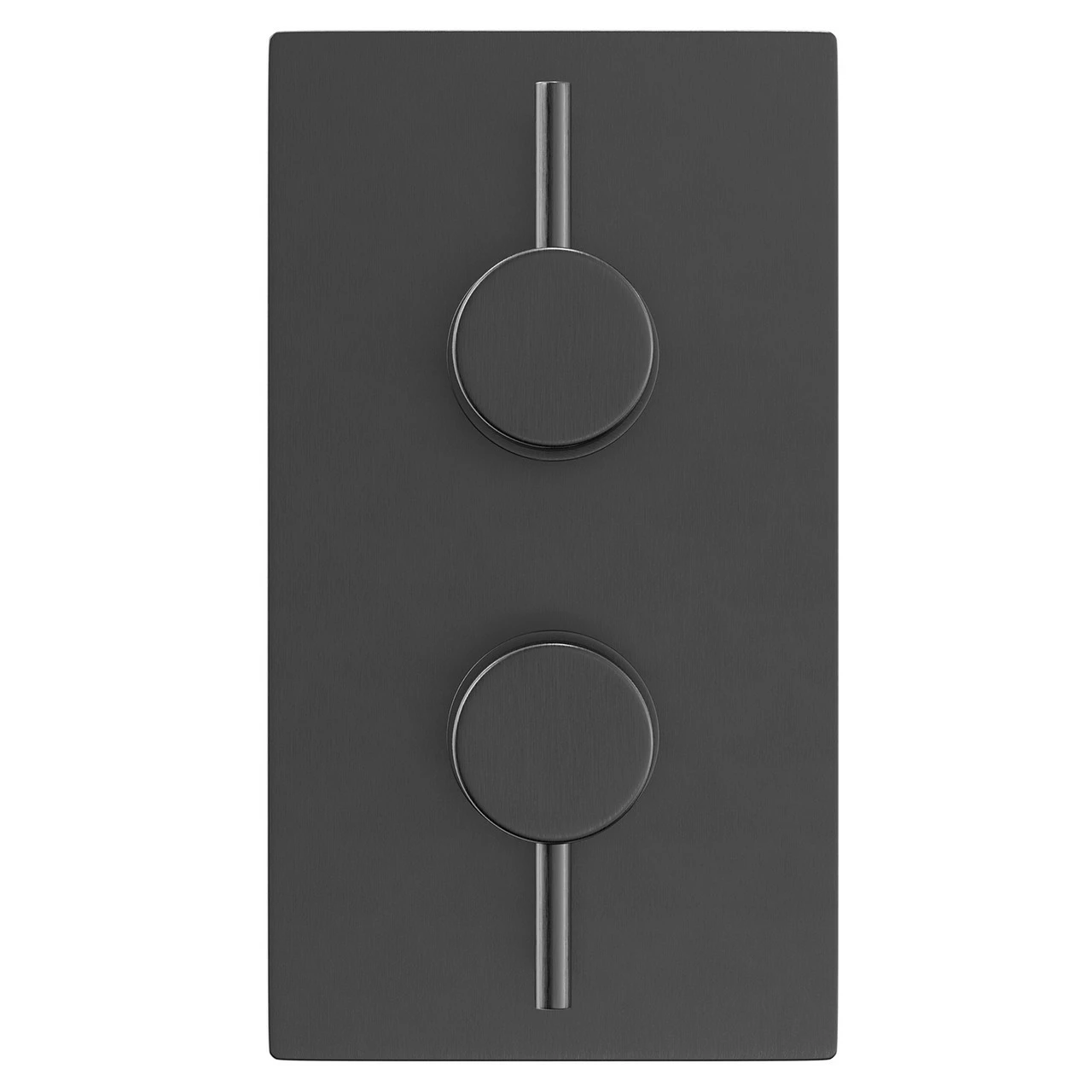 Colore Round Gunmetal Grey Concealed Twin Thermostatic Shower Valve - 1 Outlet 4 Colore Round Gunmetal Grey Concealed Twin Thermostatic Shower Valve - 1 Outlet - Image 2