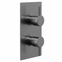 Colore Round Gunmetal Grey Concealed Twin Thermostatic Shower Valve - 1 Outlet 10 Colore Round Gunmetal Grey Concealed Twin Thermostatic Shower Valve - 1 Outlet -Wholesaledomestic Shop colore round gunmetal grey concealed twin thermostatic shower valve left 85511.1658132925