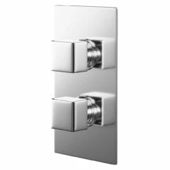 Cubix Polished Chrome Concealed Twin Thermostatic Shower Valve - 1 Outlet